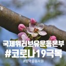 베트남 중앙 적십자사에 마스크 및 손 소독제 #긴급 지원# 국제위러브유운동본부 [장길자회장님] 이미지