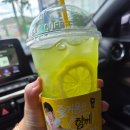GS25 구미4공단점 | 메가커피 저당꿀배 제로레몬말차 비추후기