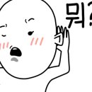 회랑세꼬시