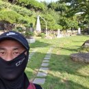 물꽃정원 이미지