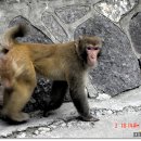 삼일농산 이미지