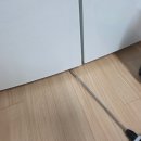 바구미퇴치 한두 마리에서 자꾸 늘어나서 결국 방역 부른 후기