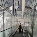 신기역 버스승강장 앞 | HKIA 버스 홍콩공항 마카오 이동 자세한 후기 (ft.파리지앵 호텔)