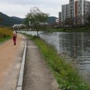 남도삼백리길(7코스) 이미지