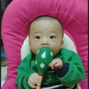 예찬악기 이미지