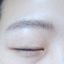 겉눈썹 영양제 탈모닷컴 티에스래쉬 TS LASH 5일 사용후기