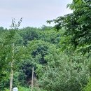 진원농장2 이미지