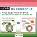 자연헤나 이미지