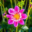 성포(남) 이미지