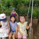 광명초등학교 이미지