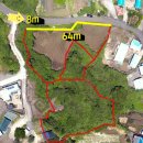 오조리-8 이미지