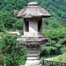 미천골약초