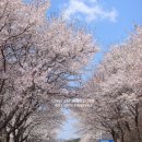 여주-0404 이미지