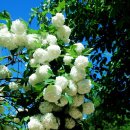 제주풍경스케치 이미지