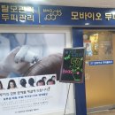 모바이오두피크리닉 이미지
