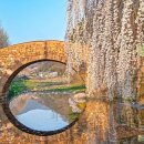 원다리길 이미지