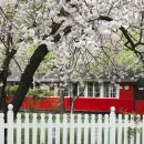 광고물협회-31 이미지