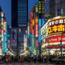 돈키호테 티스토리