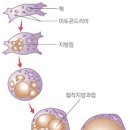 성모마음한의원 이미지