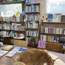 문화한의원 | 인천 동구 가볼 만한 곳, 한의사 없는 배다리 문화상점 동성한의원 후기