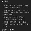 천안김안과신불당의원 이미지