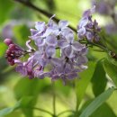 참어울림 이미지