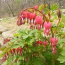 충훈고등학교 이미지