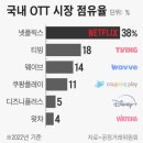 11월 6일 뉴스