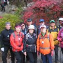 보동이네 이미지