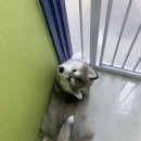 올리스 방이점 이미지