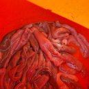 무창포해수욕장 해루질 이미지