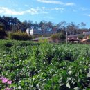 참편한 주유소 이미지