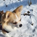 더누리개 이미지