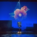 제주4.3창작뮤지컬 동백꽃 피는날에 이미지