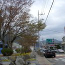 약수초교 이미지