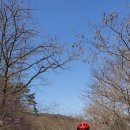 라온 - 서산시 율지3로 18 | 라온