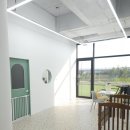 섬댕 강아지 미용실 | 운남동애견미용 실력 좋고 친절한 섬댕 강아지미용실