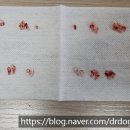 해운대조은동물병원 네이버블로그