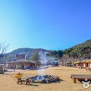 낙농목장 이미지