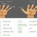 손차이 이미지