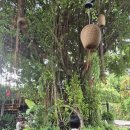 키친마트 이미지