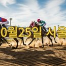 피엔에스연구소