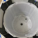 행정1길 이미지