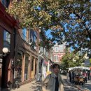 신현빈 카카오 검색결과