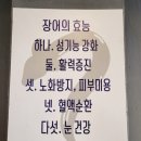 팔팔장어 이미지