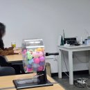 메이크미술학원 | 위메이크페인팅 팝업 구매후기 (트리와 고양이)
