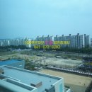스타웨이브(Starwave)
