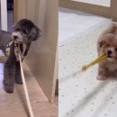 나와놀개 이미지