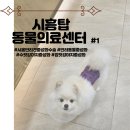 시흥탑동물의료센터 | [ 반려견 중성화 수술 ] 시흥탑동물의료센터 #1 암컷 강아지 중성화 수술 당일 후기