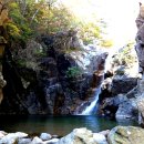 추원모차골 이미지